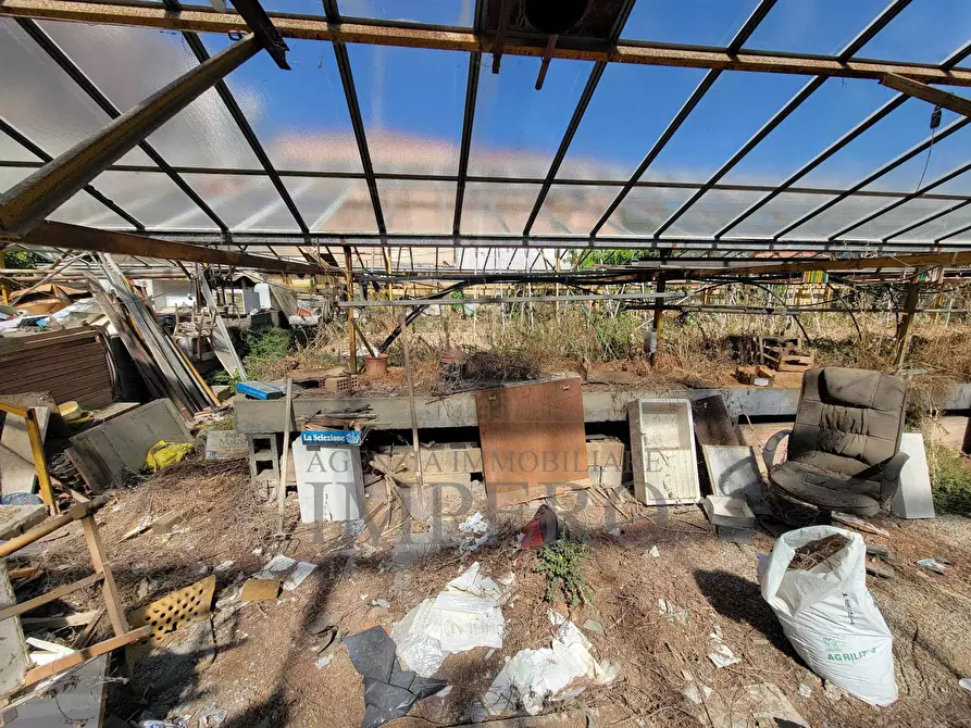 Immagine 17 di Magazzino in vendita  in Strada Statale 1 35 a Camporosso