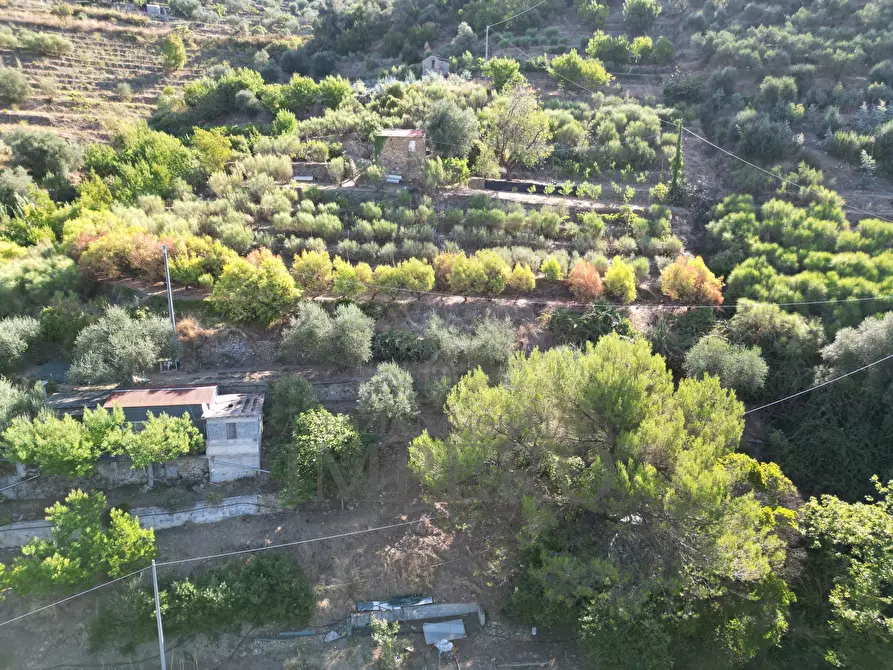 Immagine 5 di Terreno agricolo in vendita  in via provinciale 44 a San Biagio Della Cima