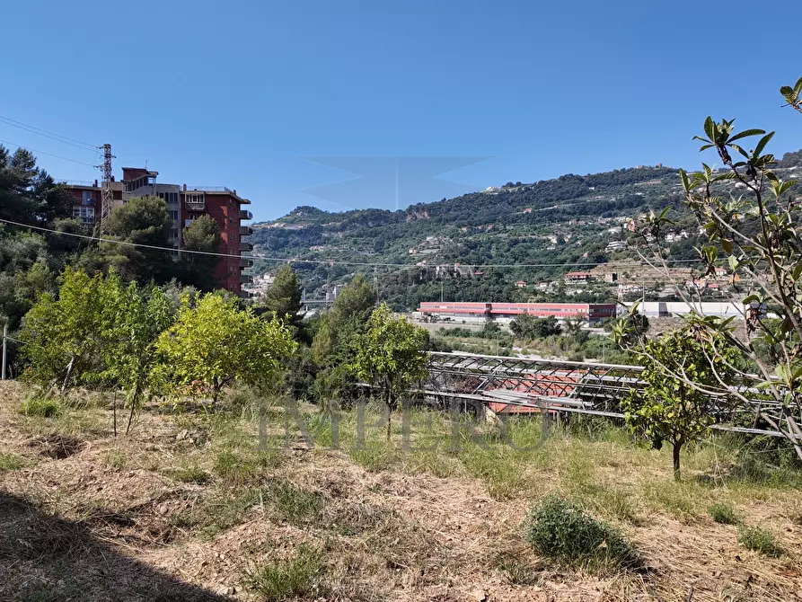 Immagine 24 di Terreno agricolo in vendita  in Corso Limone Piemonte a Ventimiglia