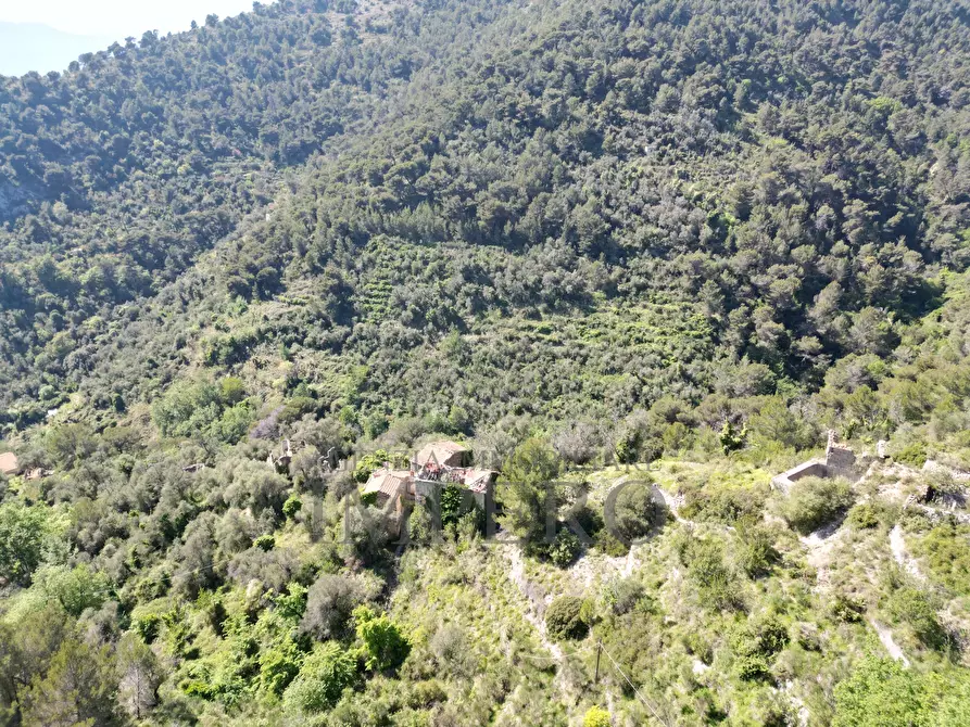 Immagine 45 di Terreno agricolo in vendita  in Via Case Gina 13 a Ventimiglia