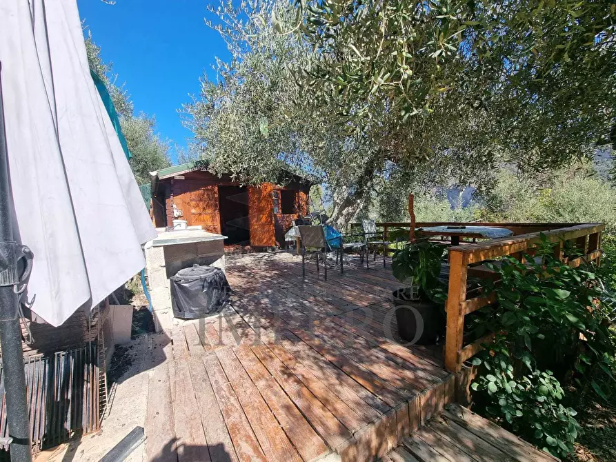 Immagine 24 di Terreno agricolo in vendita  in Via Monsignore Daffra 40 a Ventimiglia