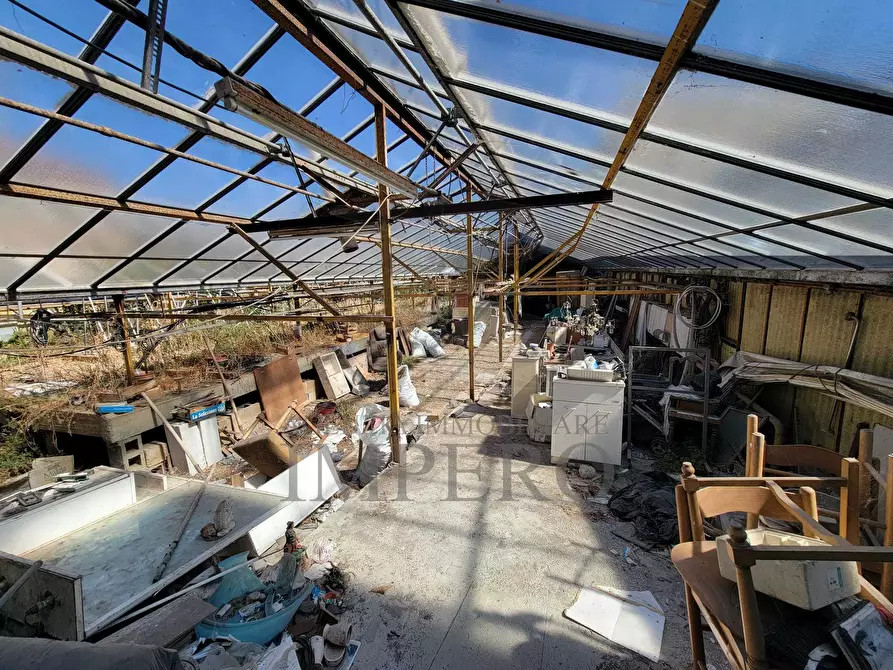 Immagine 19 di Magazzino in vendita  in Strada Statale 1 35 a Camporosso