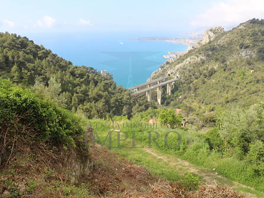 Immagine 27 di Terreno agricolo in vendita  in Via Case Gina 13 a Ventimiglia