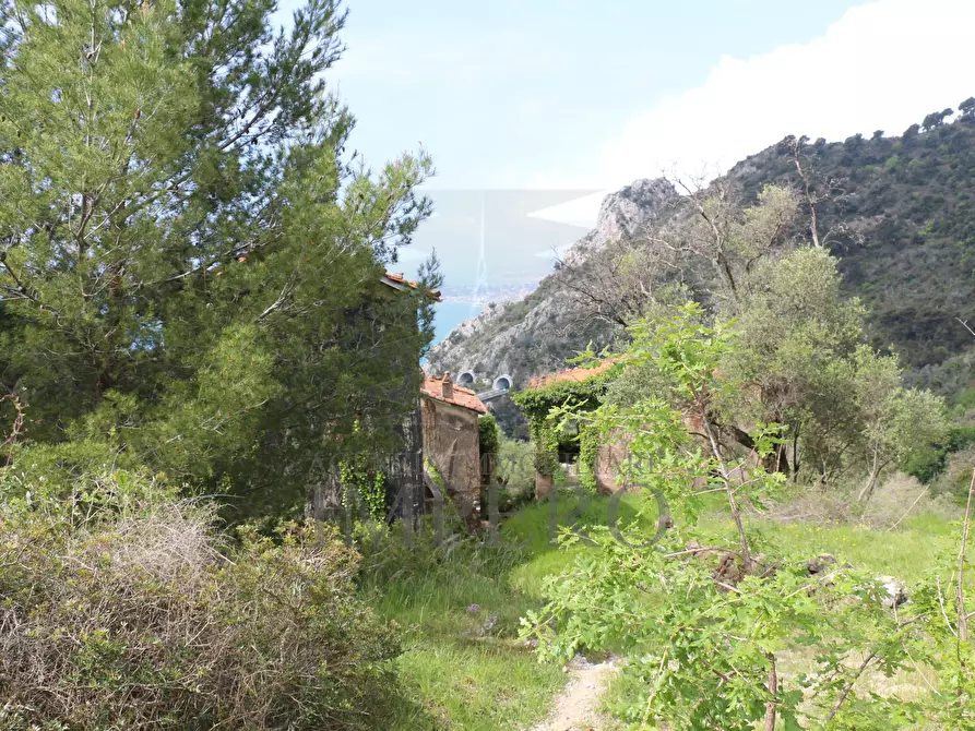 Immagine 20 di Terreno agricolo in vendita  in Via Case Gina 13 a Ventimiglia
