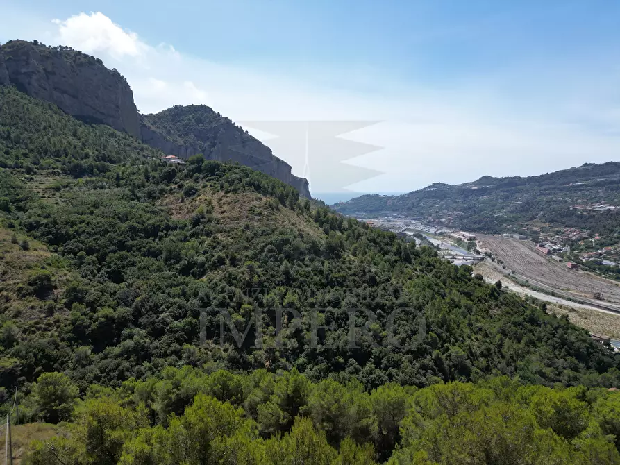 Immagine 26 di Casa indipendente in vendita  in Località Magauda 2 a Camporosso
