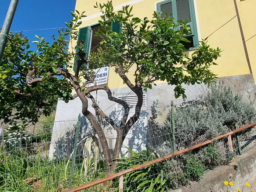 Immagine 4 di Porzione di casa in vendita  in Via Poggio Ponente 5 a Vallecrosia
