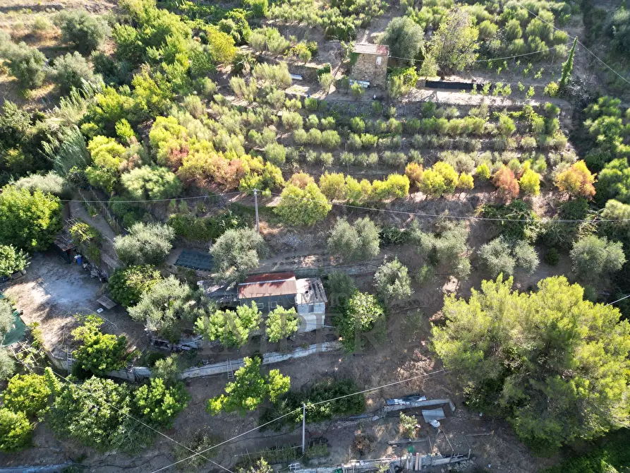 Immagine 3 di Terreno agricolo in vendita  in via provinciale 44 a San Biagio Della Cima