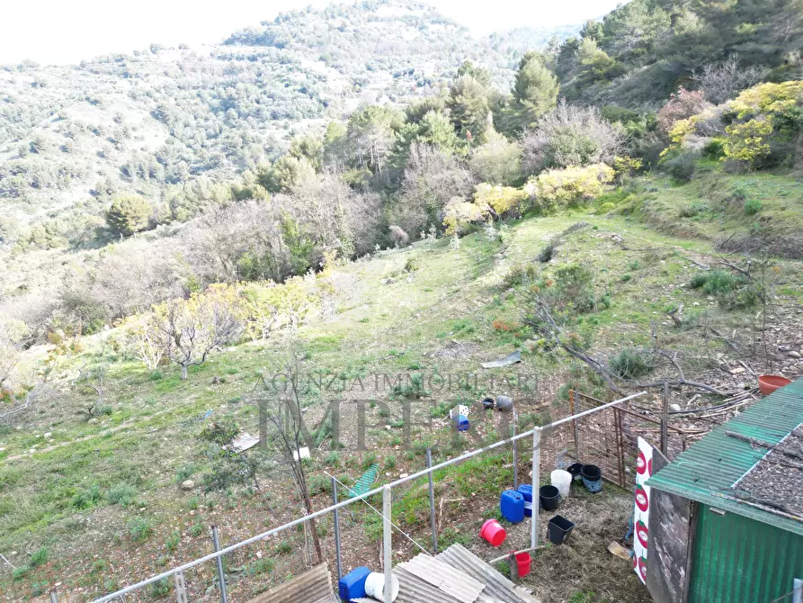 Immagine 13 di Terreno agricolo in vendita  in Regione Magauda 36 a Camporosso