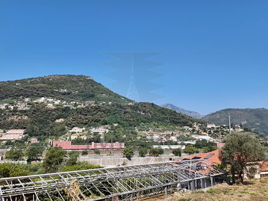 Immagine 17 di Terreno agricolo in vendita  in Corso Limone Piemonte a Ventimiglia