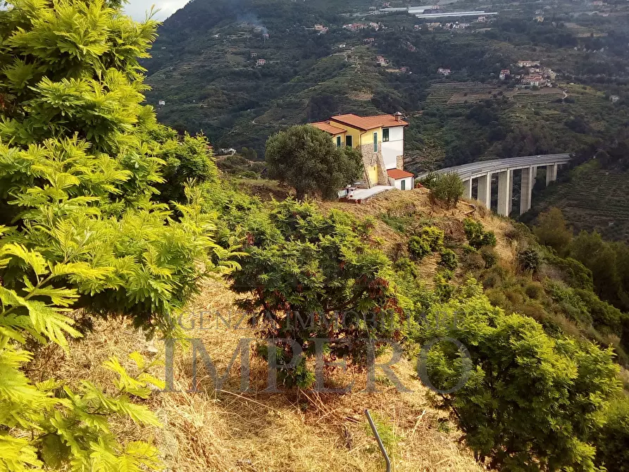 Immagine 55 di Villa in vendita  in Corso Francia 108 a Ventimiglia