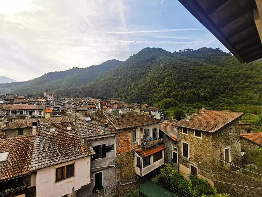 Immagine 24 di Trilocale in vendita  in Via Nuova 10 a Isolabona