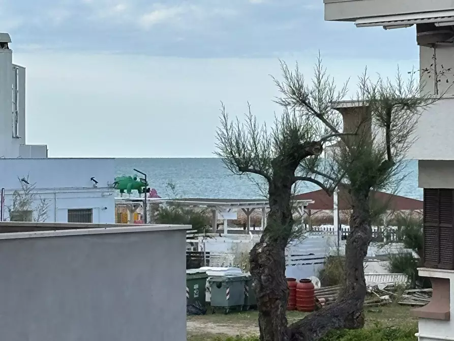 Immagine 13 di Trilocale in affitto  in Viale Maiella 23/A a Francavilla Al Mare
