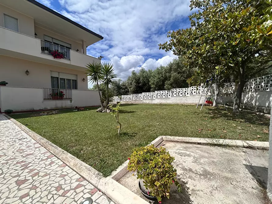 Immagine 21 di Quadrilocale in affitto  in Viale Maiella 23/A a Francavilla Al Mare