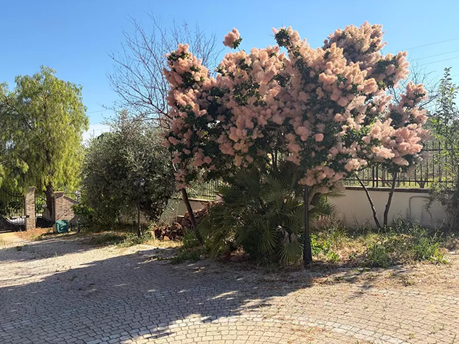 Immagine 19 di Bilocale in affitto  a Francavilla Al Mare