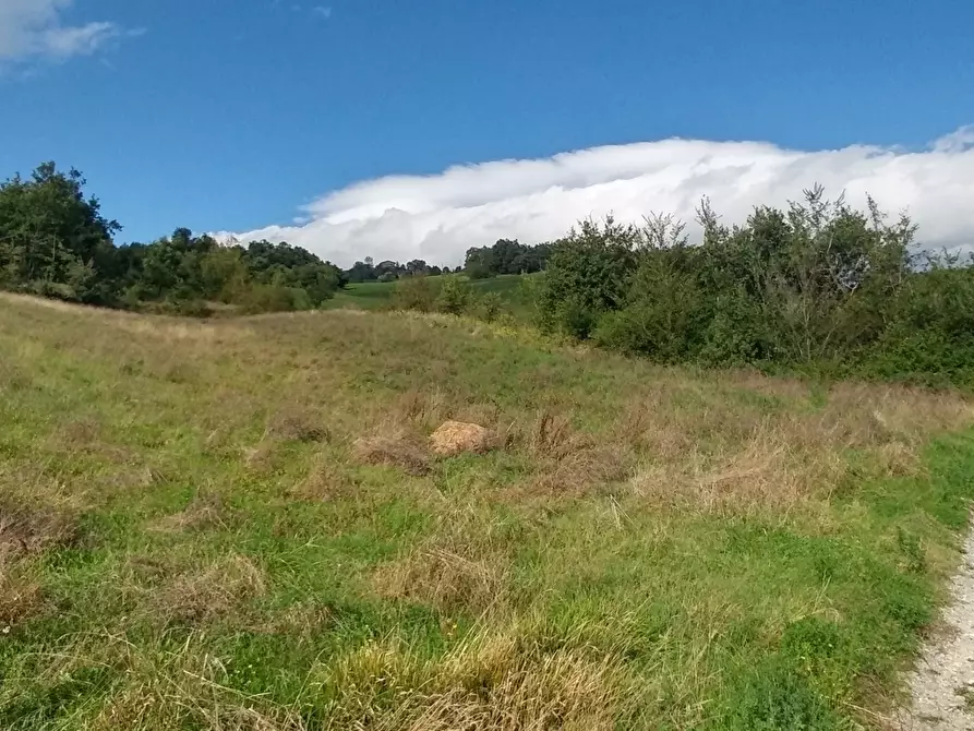 Immagine 44 di Rustico / casale in vendita  in via Selve 3205 a Zocca