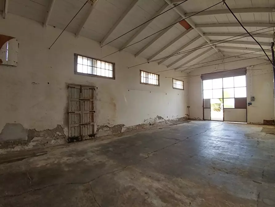 Immagine 7 di Attività artigianale in vendita  a Novellara