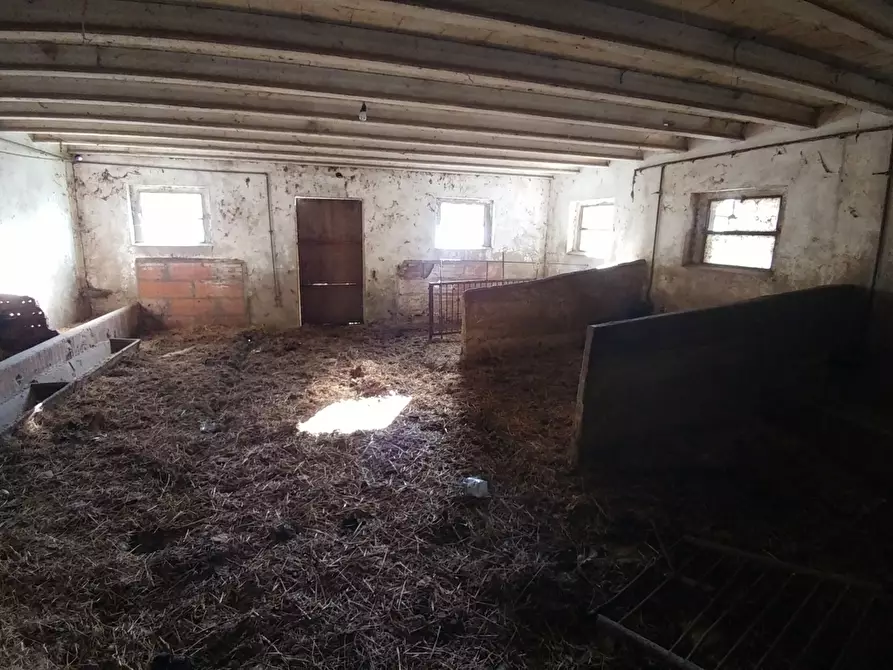 Immagine 31 di Rustico / casale in vendita  in Via Montalbano 3370 a Zocca
