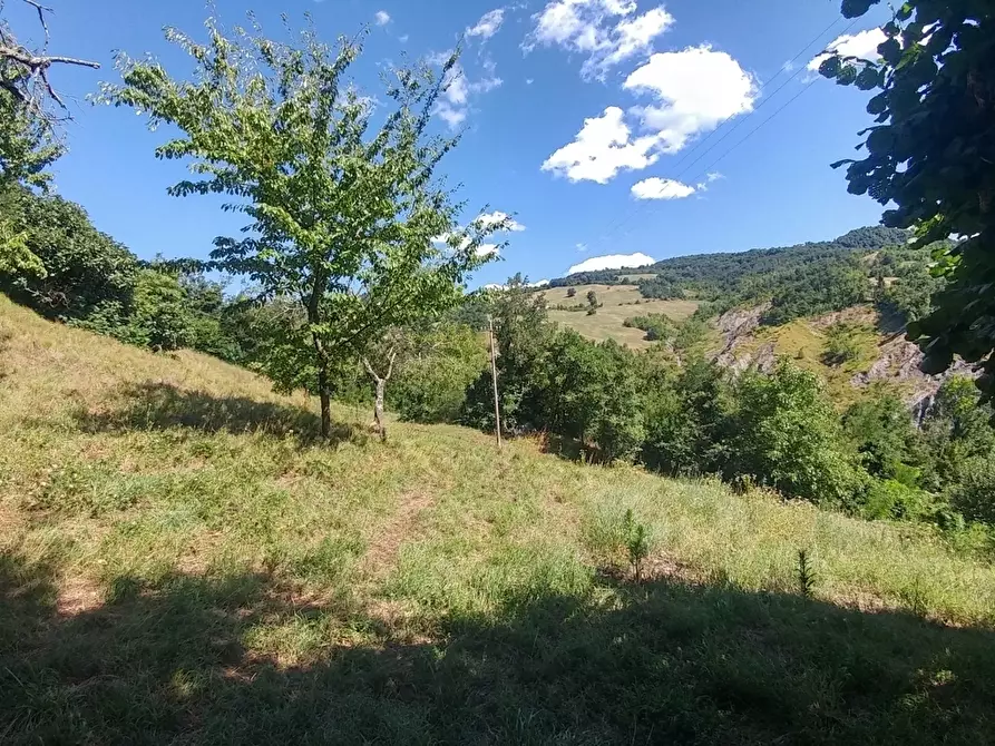 Immagine 56 di Rustico / casale in vendita  in mauro tesi 112 a Zocca