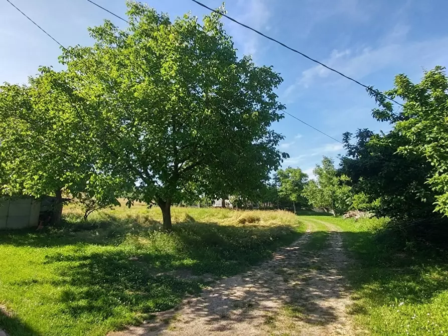 Immagine 4 di Rustico / casale in vendita  in Via A. De Gasperi 666 a Zocca