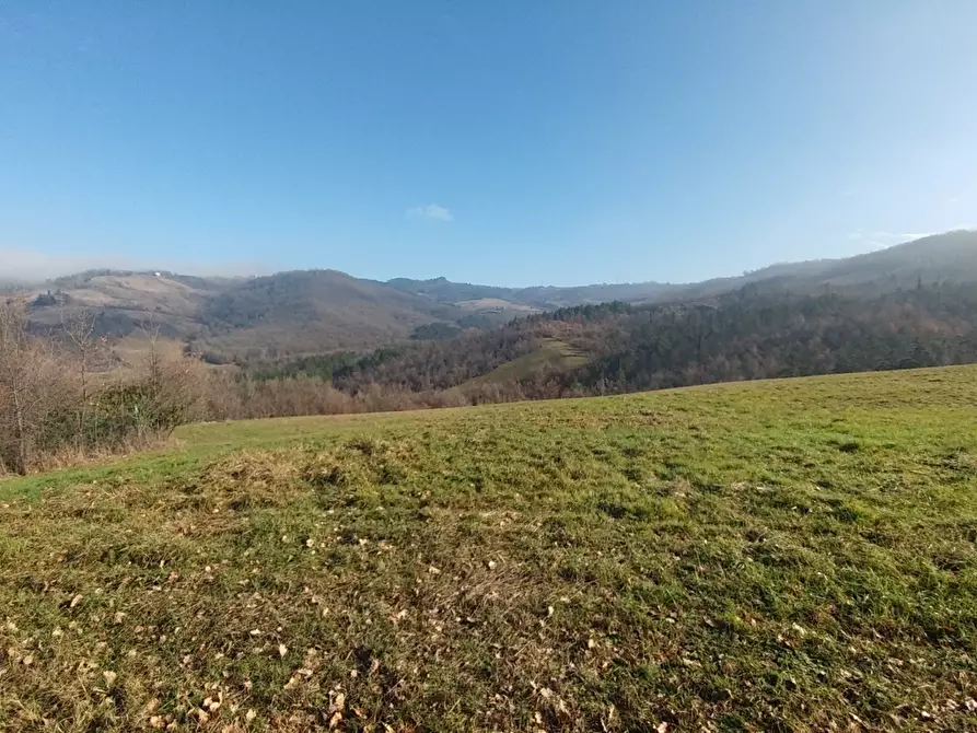 Immagine 4 di Rustico / casale in vendita  in Via della Pace 20 a Valsamoggia