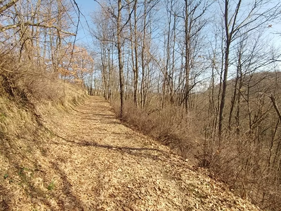 Immagine 44 di Rustico / casale in vendita  in Via Mattioli 555 a Zocca