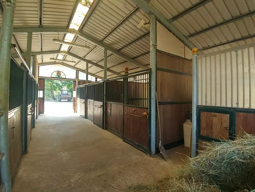 Immagine 36 di Rustico / casale in vendita  in Via Vignolese 1534 a Zocca