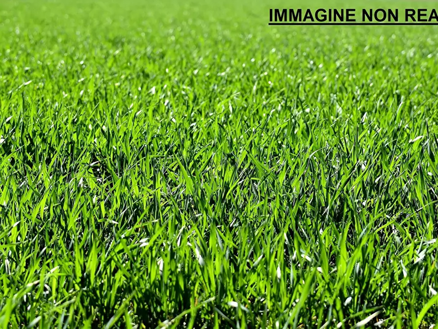 Immagine 7 di Quadrilocale in vendita  in ZONA CENTRALE a Collebeato