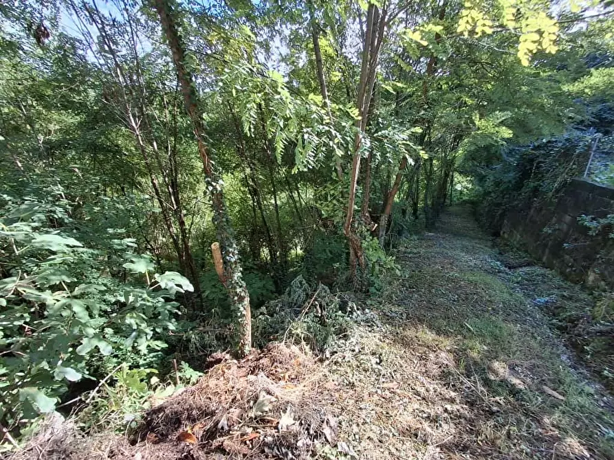 Immagine 13 di Terratetto in vendita  in Via Ugrigno Castello 2 a Sant'agata Feltria