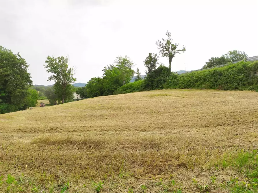 Immagine 49 di Rustico / casale in vendita  in SP258 2 a Pennabilli