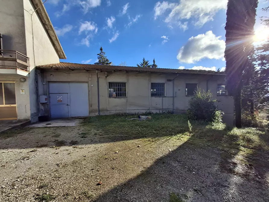 Immagine 6 di Casa indipendente in vendita  in Via Antonio Gramsci 2 a Novafeltria