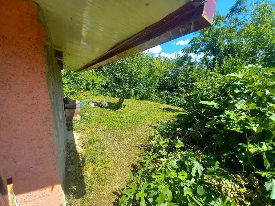 Immagine 4 di Terratetto in vendita  in Località Pozzo 36 a Novafeltria