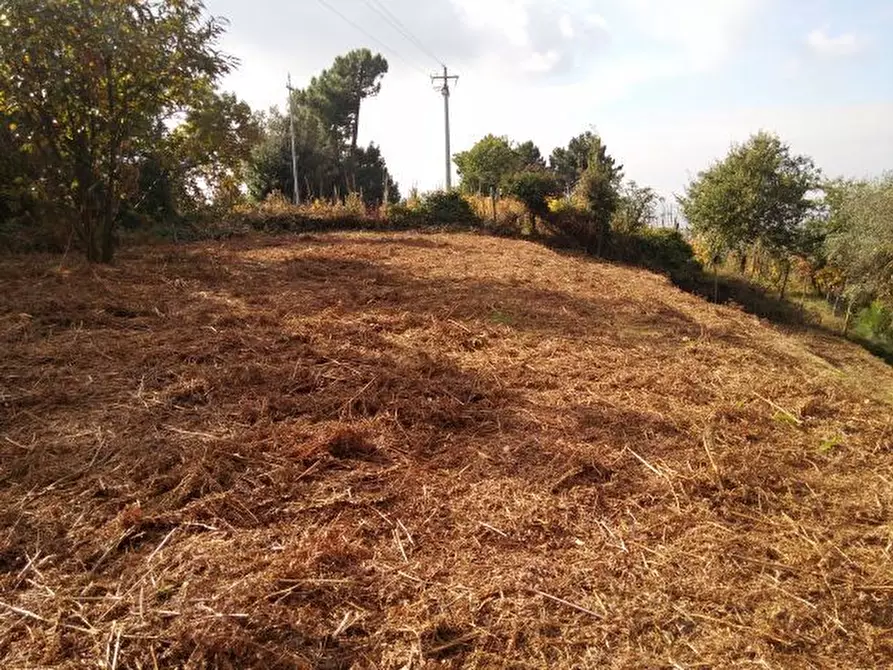 Immagine 7 di Terreno agricolo in vendita  in via di caroggia a Lucca