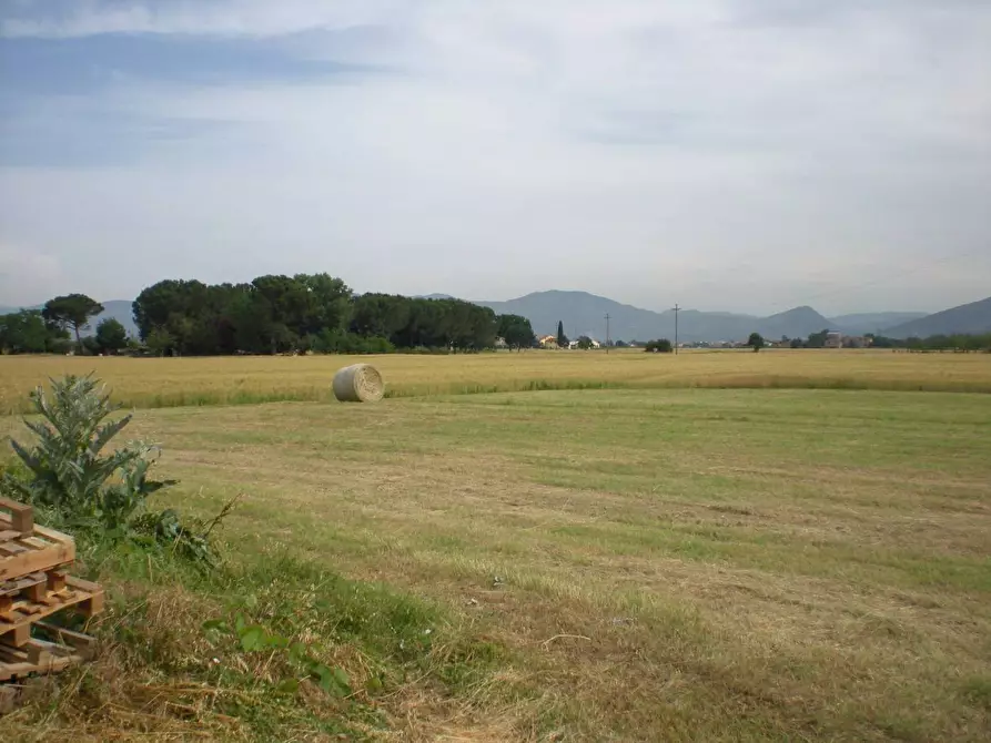 Immagine 1 di Rustico / casale in vendita  in del castellaccio a Lucca