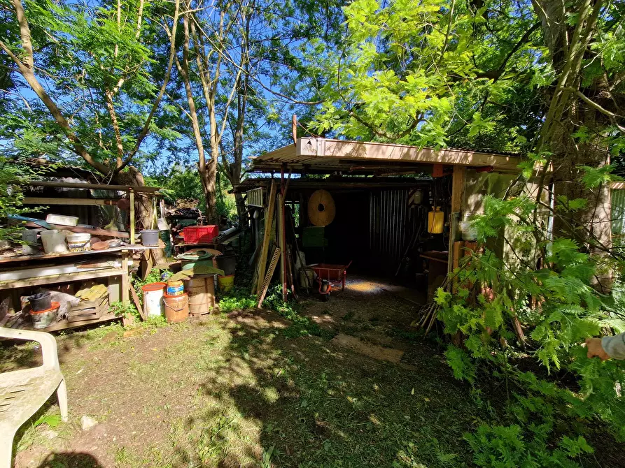 Immagine 5 di Terreno agricolo in vendita  in Via Giovanni Fattori a San Giuliano Terme