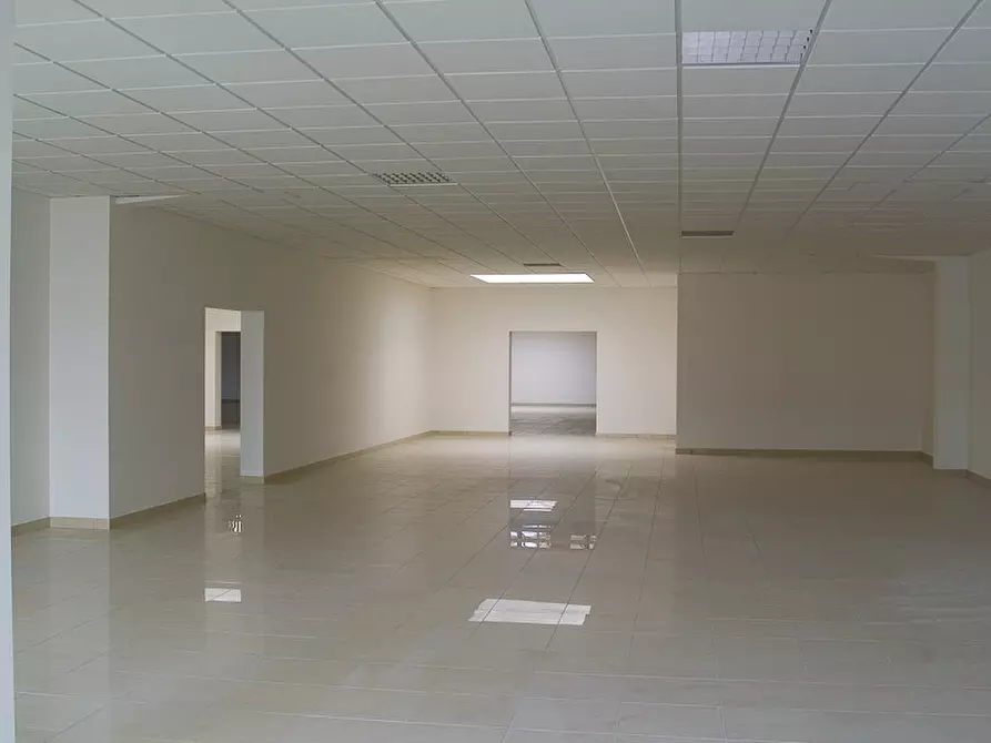 Immagine 3 di Capannone industriale in vendita  in Via Viaccia a Lucca