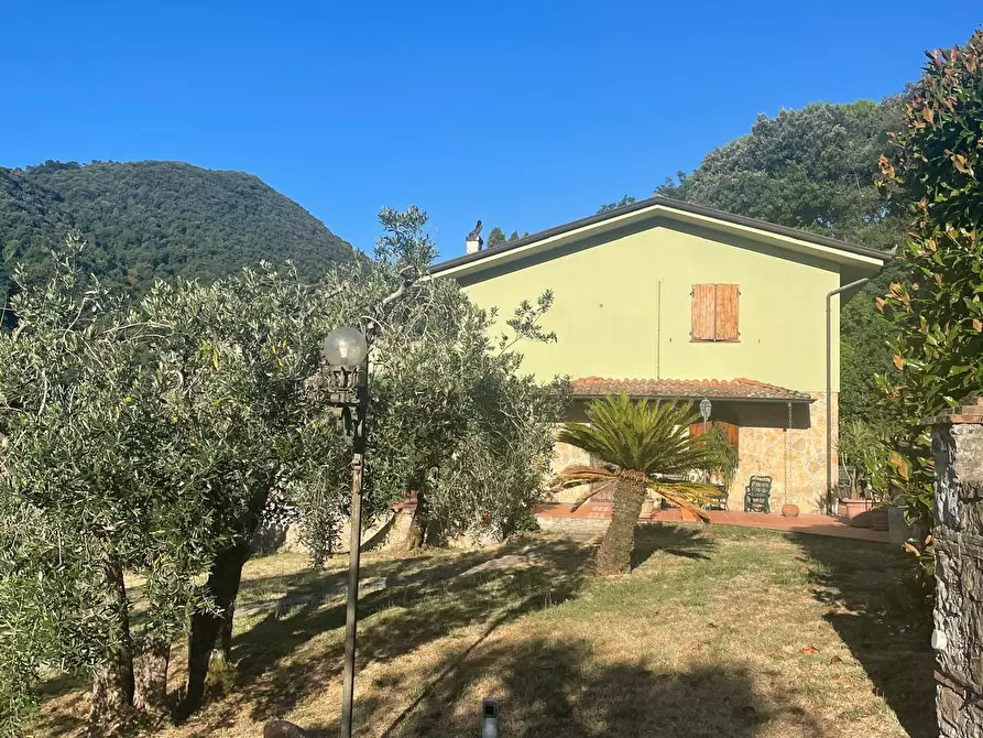 Immagine 61 di Villa in vendita  in via vecchia i a Lucca