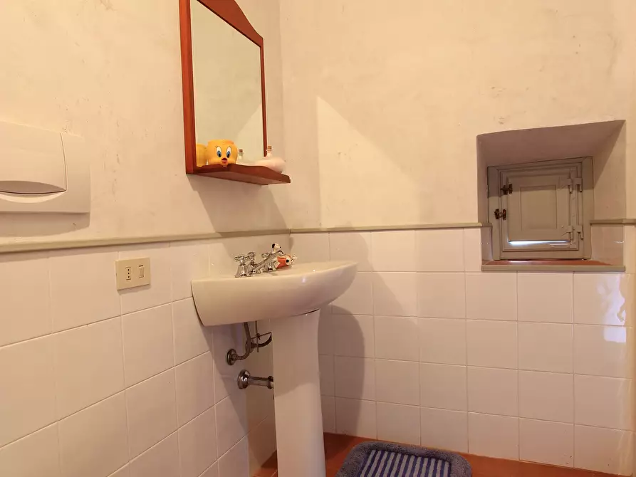 Immagine 7 di Rustico / casale in vendita  in Via di Arliano a Lucca