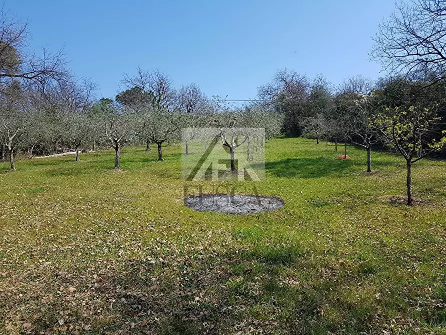 Immagine 8 di Villa in vendita  in Via montebonelli a Lucca