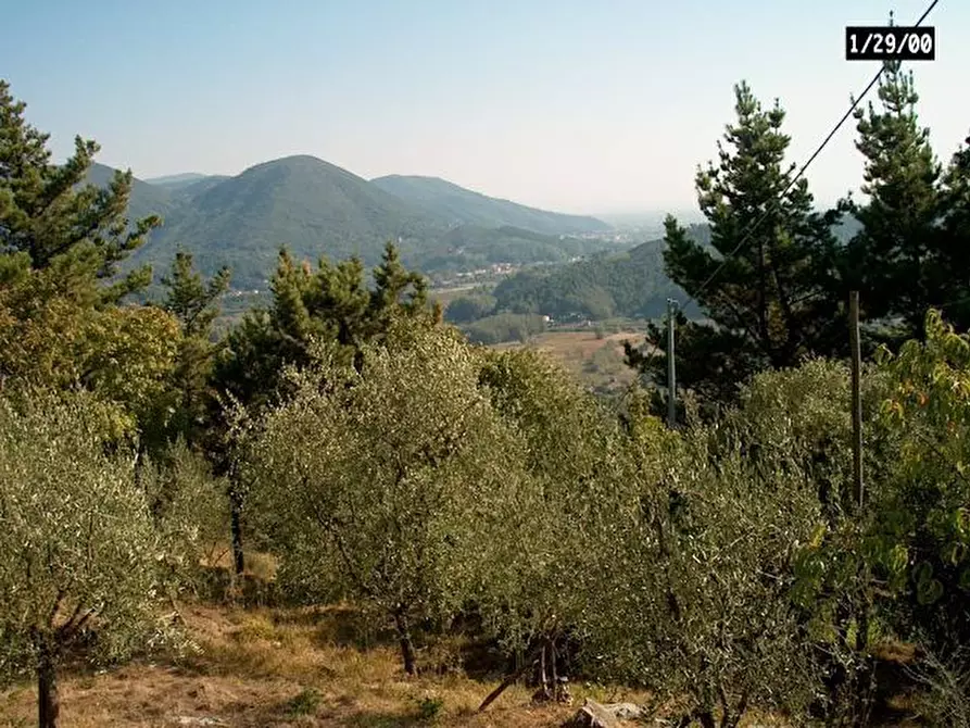 Immagine 35 di Rustico / casale in vendita  in Via Vecchia di Nozzano a Lucca