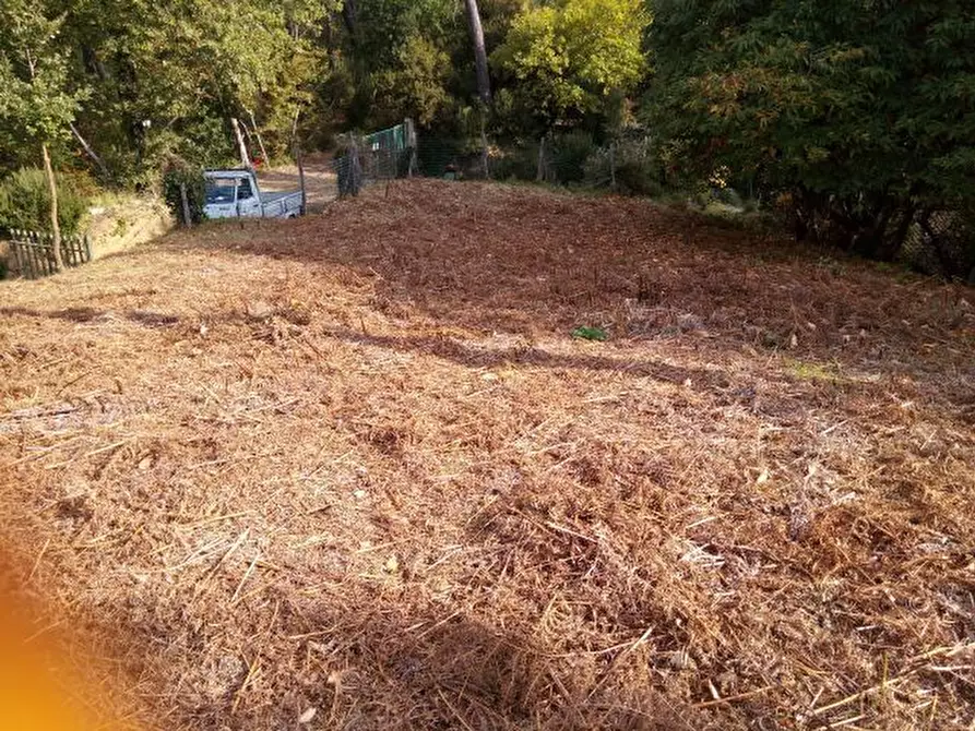 Immagine 6 di Terreno agricolo in vendita  in via di caroggia a Lucca