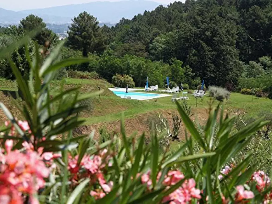 Immagine 12 di Rustico / casale in vendita  in Via dei Pieroni a Capannori