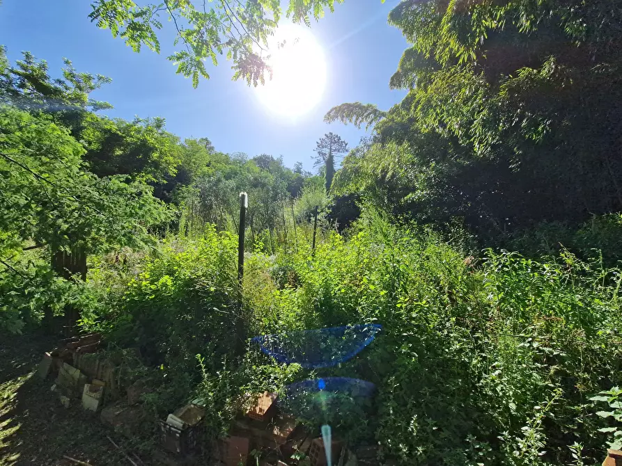 Immagine 3 di Terreno agricolo in vendita  in Via Giovanni Fattori a San Giuliano Terme