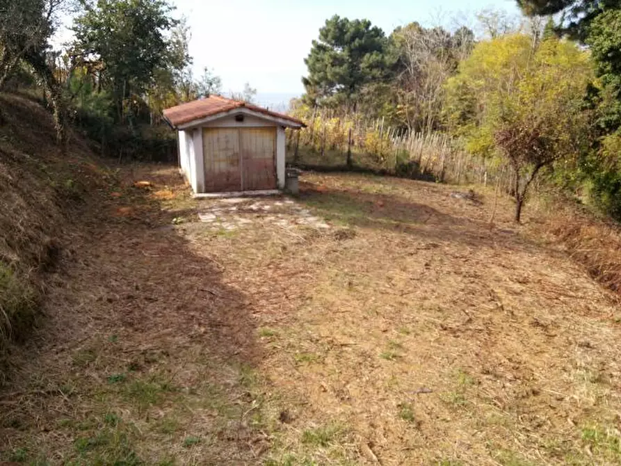 Immagine 16 di Terreno agricolo in vendita  in via di caroggia a Lucca
