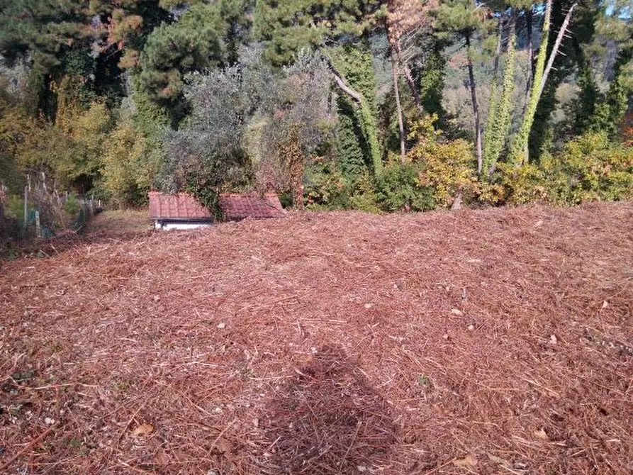 Immagine 3 di Terreno agricolo in vendita  in via di caroggia a Lucca