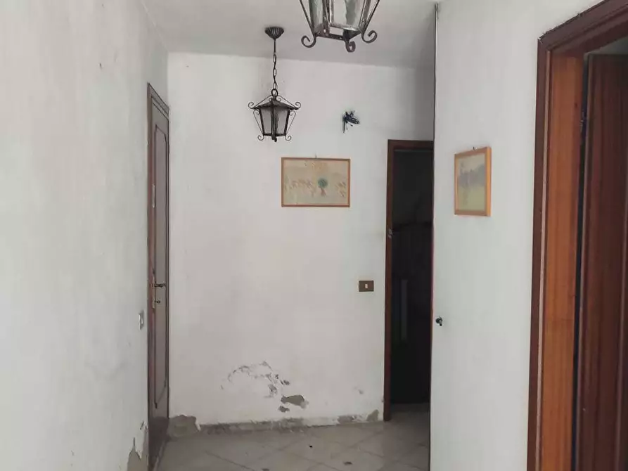 Immagine 20 di Casa indipendente in vendita  in delle cartiere a Villa Basilica