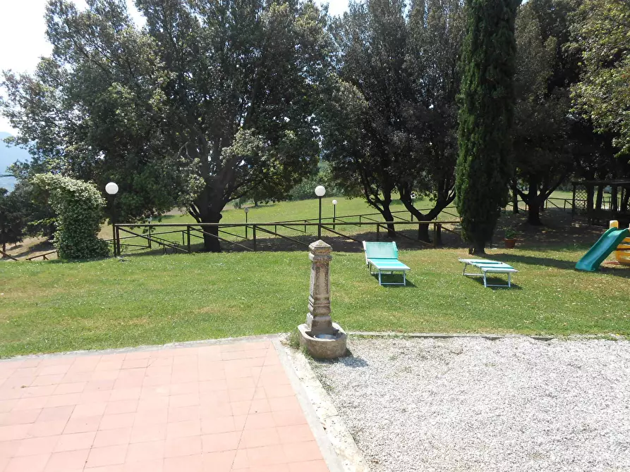 Immagine 5 di Rustico / casale in vendita  in Via per massaciuccoli a San Giuliano Terme