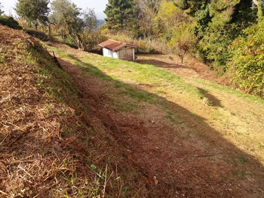 Immagine 11 di Terreno agricolo in vendita  in via di caroggia a Lucca