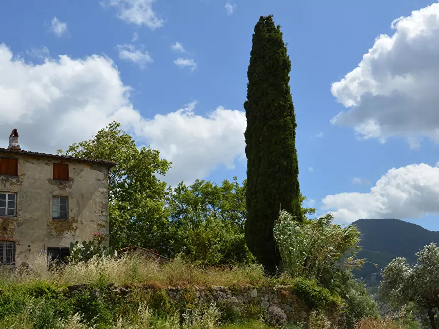 Immagine 1 di Rustico / casale in vendita  in Via del Parco a Capannori