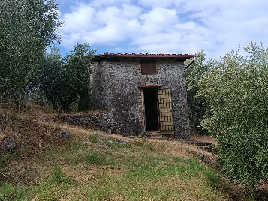 casa indipendente in vendita a Massarosa