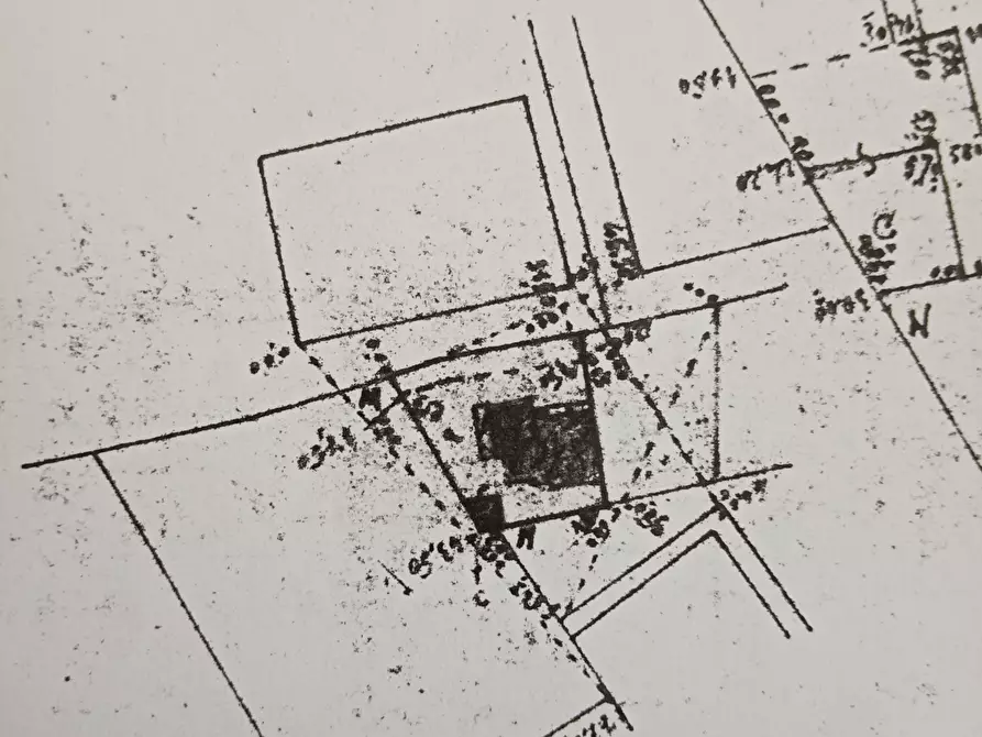 Immagine 4 di Terratetto in vendita  a Siracusa